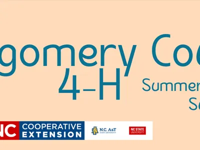 Montgomery County 4-H Summer Adventures Survey banner with beach icons