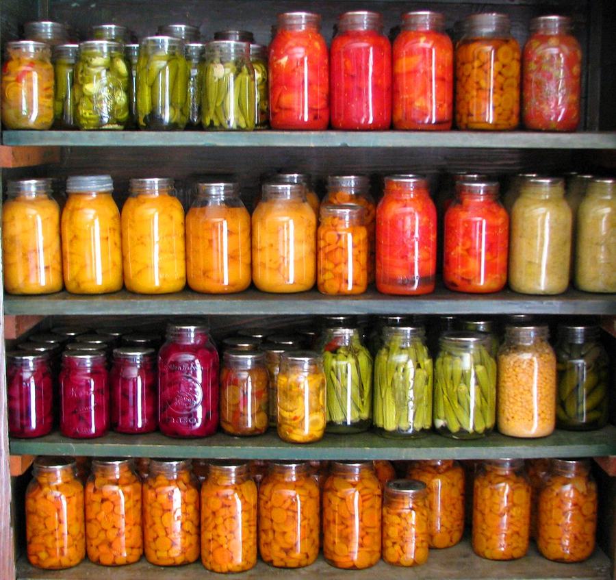Canned Food