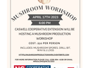 mushroom workshop 