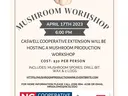 mushroom workshop 