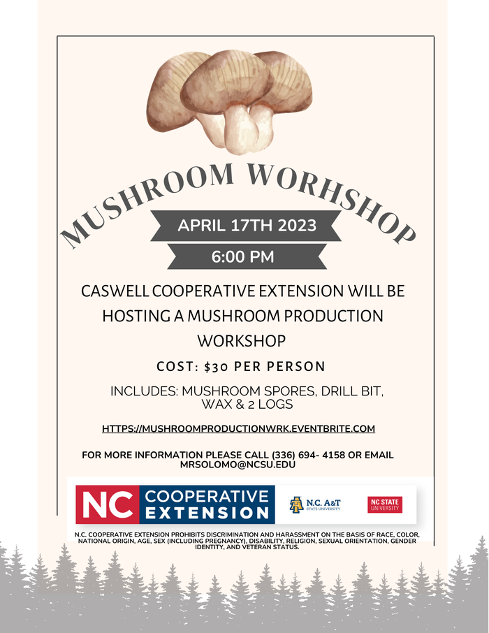 mushroom workshop 