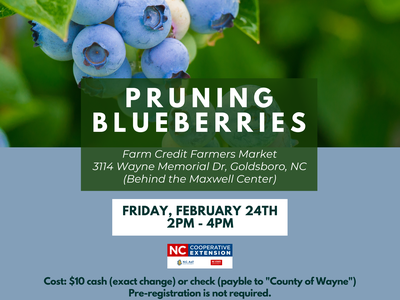 Pruning Blueberries Class-Feb. 24th 2023