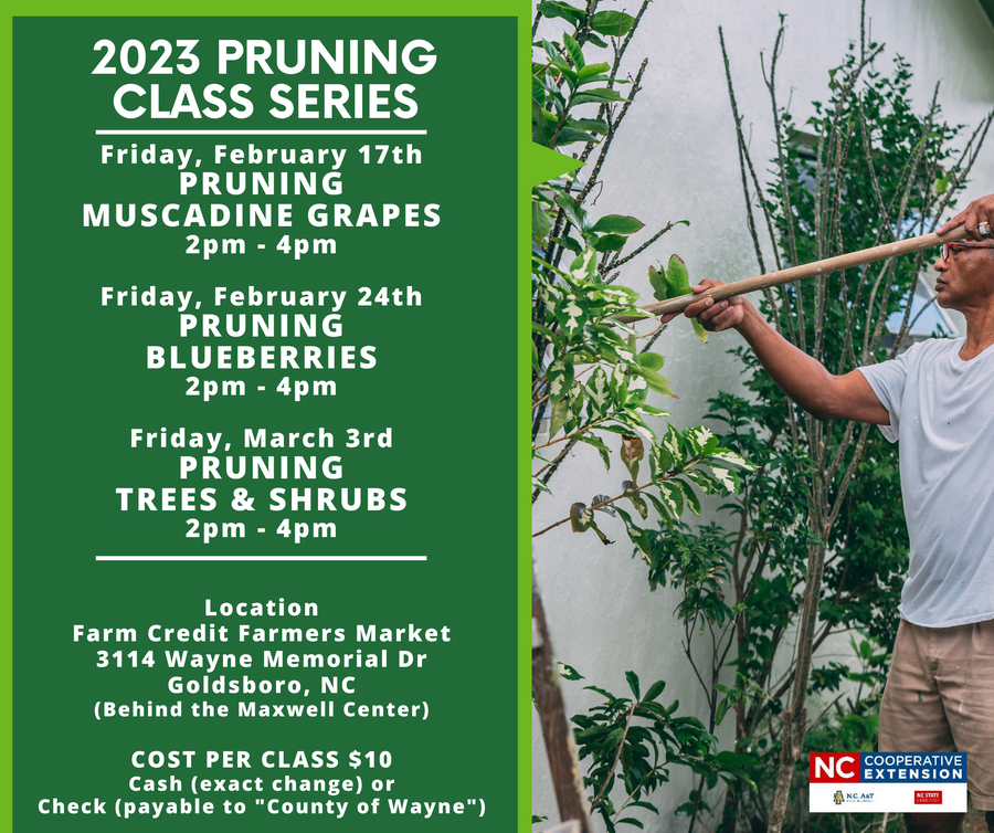 2023 Pruning Class Series