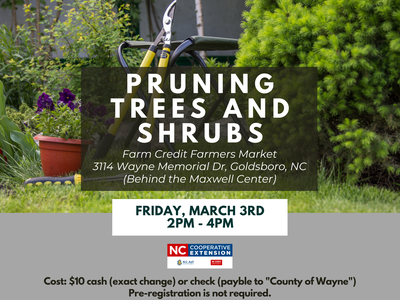 Trees & Shrubs -March 3rd