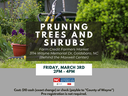 Trees & Shrubs -March 3rd