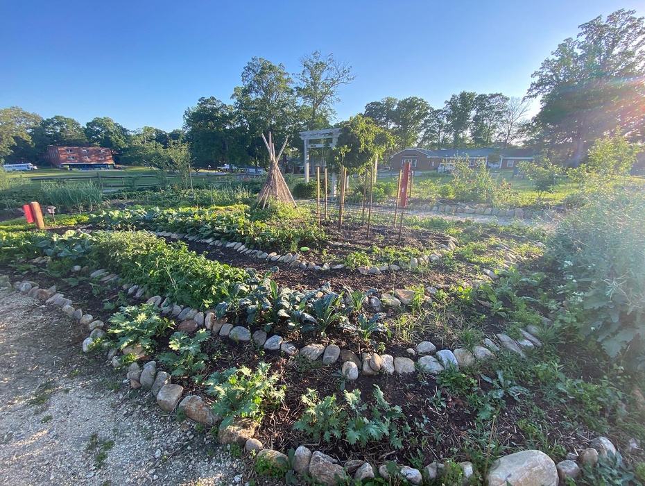 A garden separated by lines of rock.