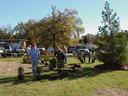 Volunteers digging and planting small trees and shrubs in a grassy park
