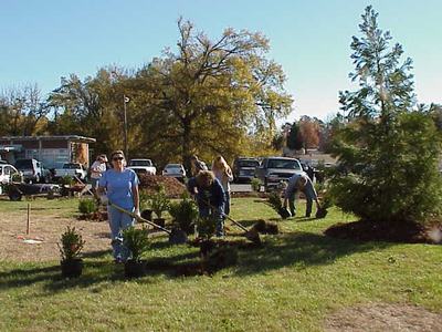 Volunteers digging and planting small trees and shrubs in a grassy park