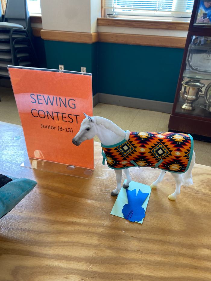 White toy horse with patterned sewn blanket next to sign: SEWING CONTEST Junior (8-13)
