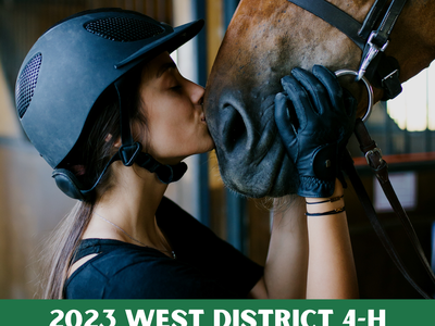 2023 WD 4-H Horse Show