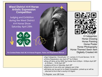 West District 4-H Horse Artistic Expression Competition