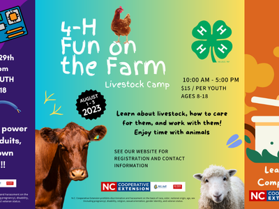 4-H Camp multiple info graphics for day camps. Information is accessible below.