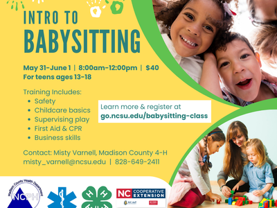 Babysitting class flyer