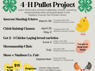 pullet project info