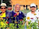 A group of volunteers stand among flowers.