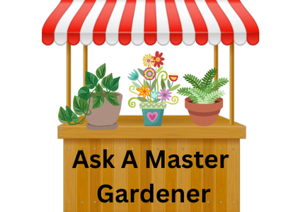 Market stall with three potted plants and sign reading "Ask A Master Gardener"