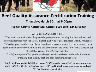 Black cows above flyer: Beef Quality Assurance Certification Training — Thurs, March 30, 6:00pm