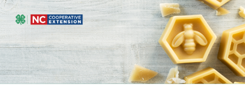 width="489" height="171"