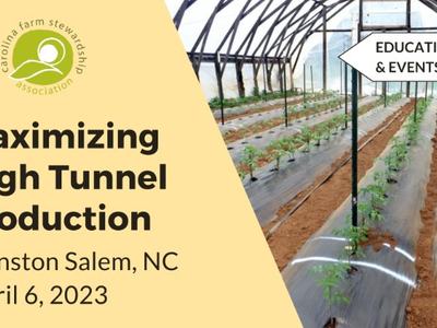 Maximizing High Tunnel Production; Winston Salem, NC April 6, 2023; high tunnel rows