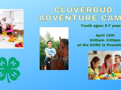 Cloverbuds Adventure Camp