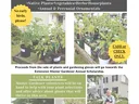 Carteret County Extension Master Gardener Plant Sale Flyer