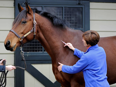 equine vaccines