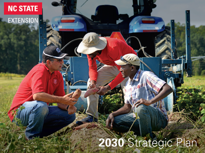 Extension Strategic Plan 2030