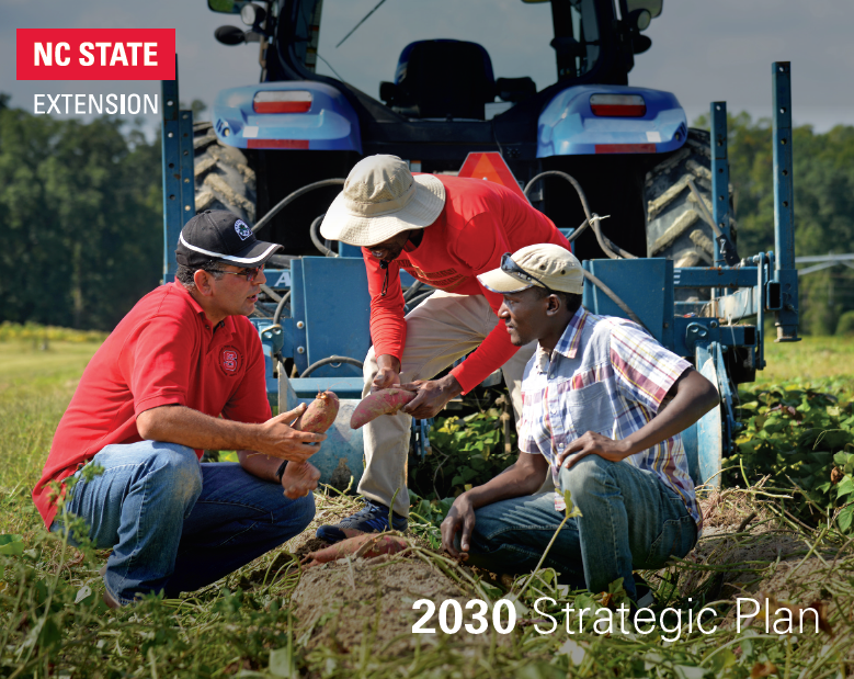 Extension Strategic Plan 2030