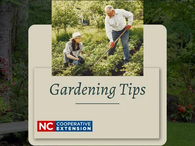 people gardening