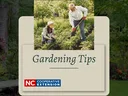 people gardening