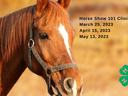Horse Show 101 clinic, march 25 2023, April 15 2023, May 13 2023