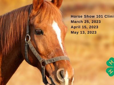 Horse Show 101 clinic, march 25 2023, April 15 2023, May 13 2023