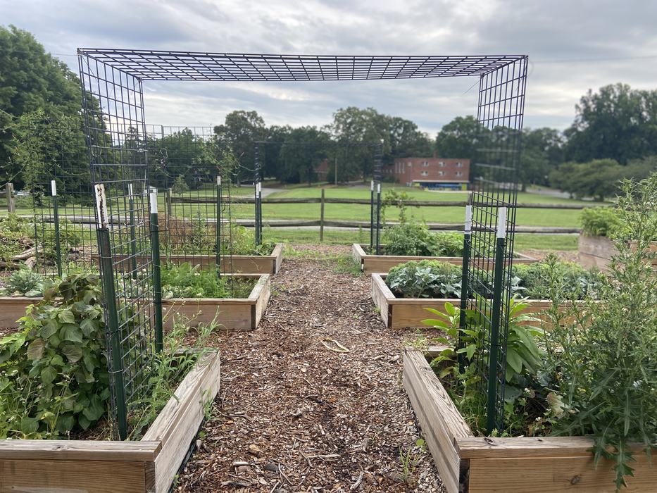 A trellis tunnel