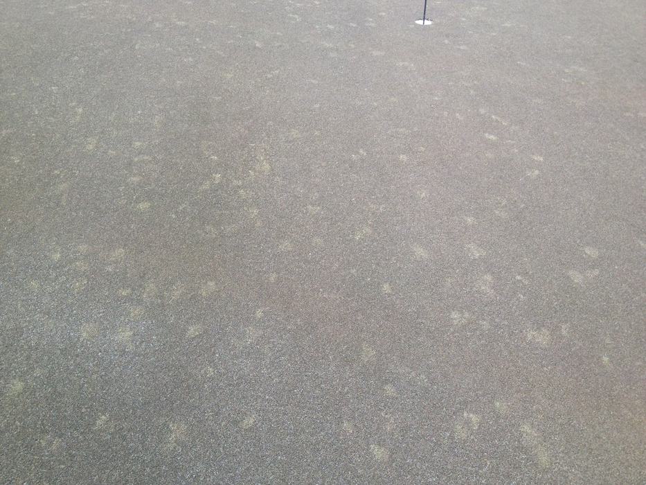Putting green textured turf with flagstick and hole at top center