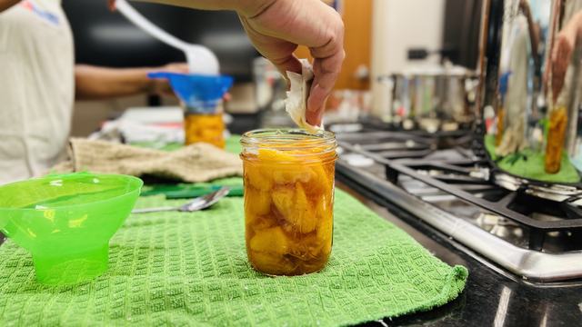 Hand measuring and canning peaches
