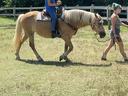 Child helmeted and seated on palomino horse led by woman in a grassy paddock