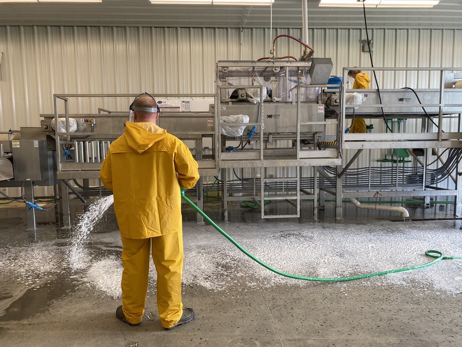 Employee cleaning the floor below a packing line using foam. 