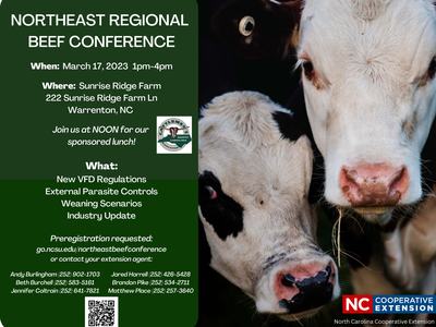 NORTHEAST REGIONAL BEEF CONFERENCE flyer with two cow faces; March 17, 2023, 1–4pm