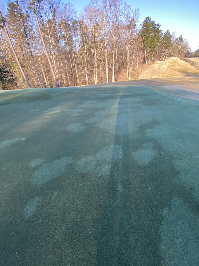 Golf green with frost patches and a long shadow, bare trees along the horizon
