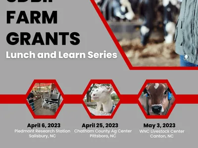 SDBII Farm Grants Lunch and Learn flyer with dates Apr 6, Apr 25, May 3 and RSVP info