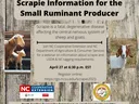 flyer for sheep and goat scrapie workshop