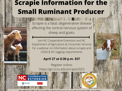 flyer for sheep and goat scrapie workshop