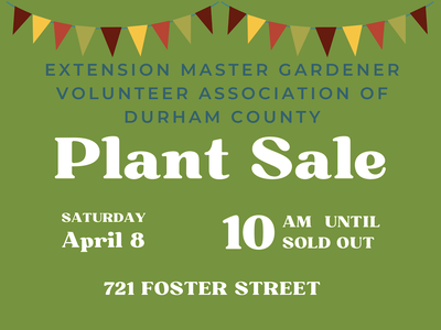 Plant Sale: April 8, 10 AM until sold out; 721 Foster Street