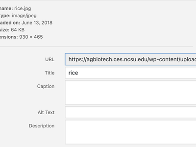 Screenshot example of metadata.