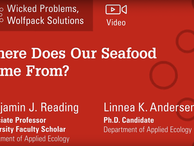 Where does our seafood come from?