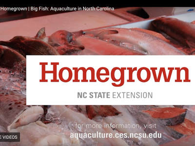 Homegrown NC State Extension