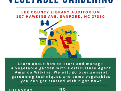 Spring to Summer Vegetable Gardening