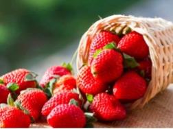 Stawberries in a basket