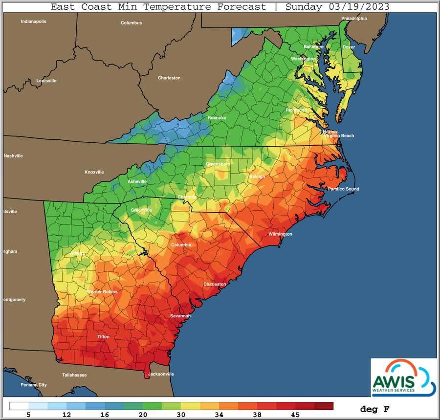 East Coast Min Temperature Forecast, Sunday 03/19/2023
