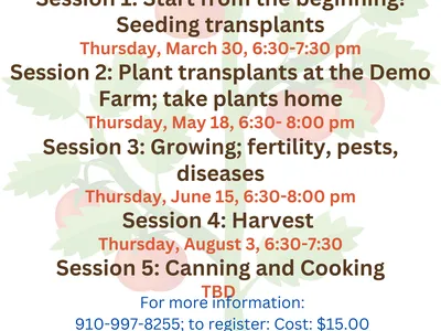 Tomato Challenge flier